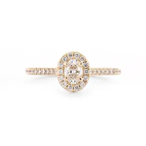 0.84ctw Oval Diamond Engagement Ring, Halo, Pavê Band, Cathedral - 14k Yellow Gold