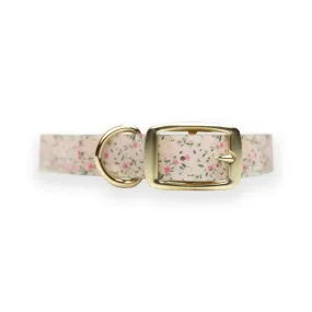 Petal Party | Dog Collar